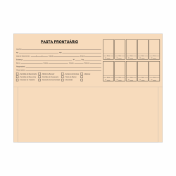 Pasta Prontuário cor creme