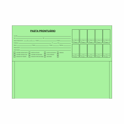 Pasta Prontuário cor Verde