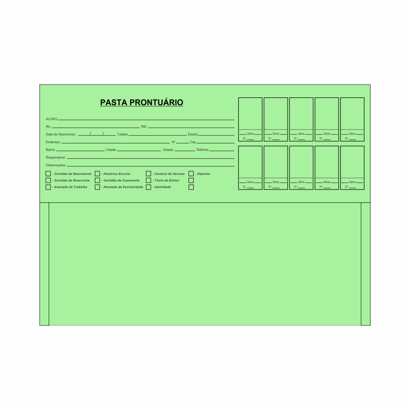 Pasta Prontuário cor Verde